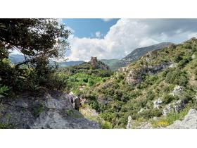 photo coins arrondis