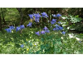 photo coins arrondis