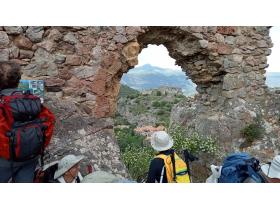 photo coins arrondis