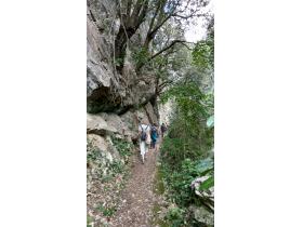 photo coins arrondis