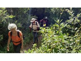 photo coins arrondis