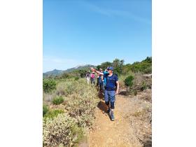 photo coins arrondis