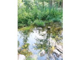 photo coins arrondis