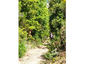 photo coins arrondis