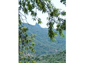 photo coins arrondis