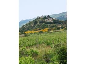 photo coins arrondis