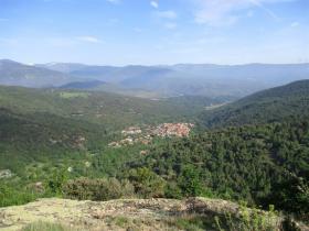 photo coins arrondis