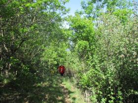 photo coins arrondis