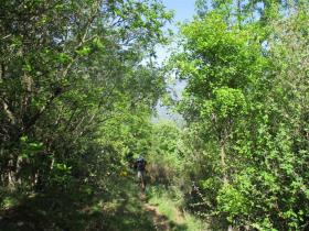 photo coins arrondis