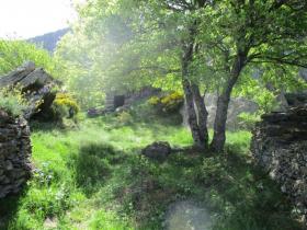 photo coins arrondis