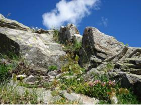 photo coins arrondis