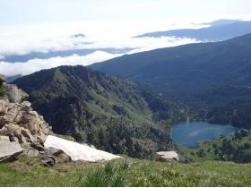 photo coins arrondis