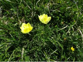 photo coins arrondis