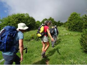 photo coins arrondis