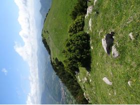 photo coins arrondis