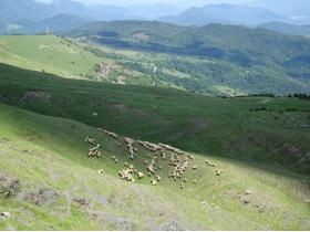 photo coins arrondis