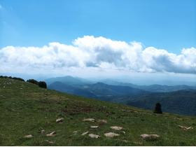 photo coins arrondis