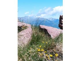 photo coins arrondis