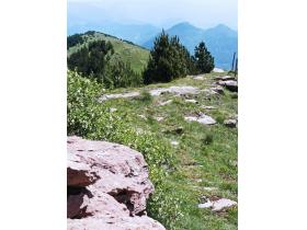 photo coins arrondis