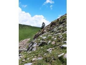 photo coins arrondis