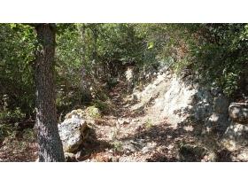 photo coins arrondis