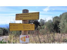 photo coins arrondis