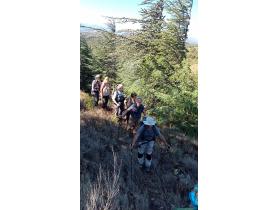 photo coins arrondis