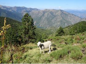 photo coins arrondis