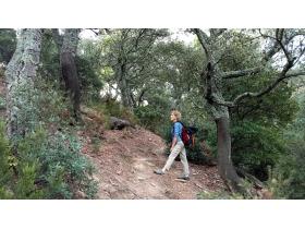 photo coins arrondis