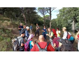 photo coins arrondis