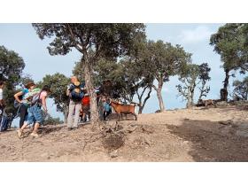 photo coins arrondis