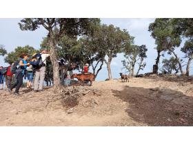 photo coins arrondis