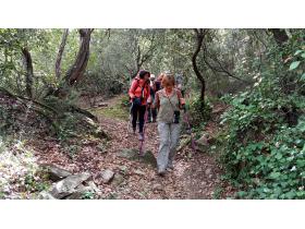 photo coins arrondis