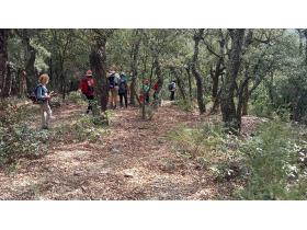 photo coins arrondis