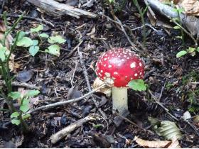 photo coins arrondis