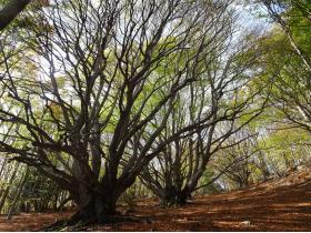 photo coins arrondis