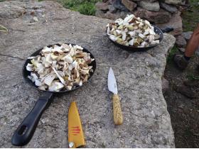 photo coins arrondis