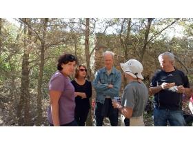 photo coins arrondis