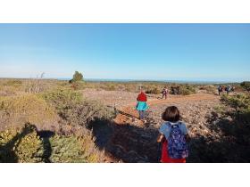 photo coins arrondis