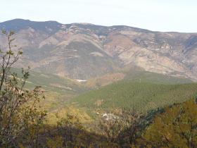 photo coins arrondis