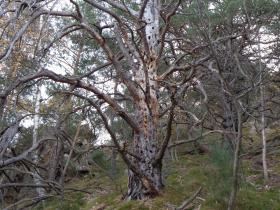 photo coins arrondis