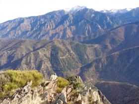 photo coins arrondis