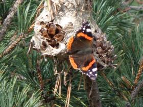 photo coins arrondis