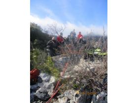 photo coins arrondis