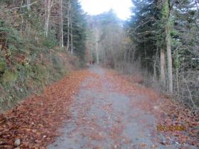 photo coins arrondis