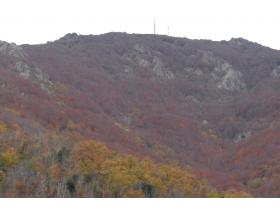 photo coins arrondis