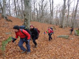 photo coins arrondis