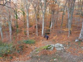 photo coins arrondis