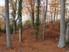 photo coins arrondis