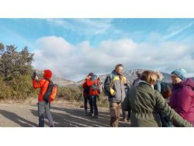 photo coins arrondis